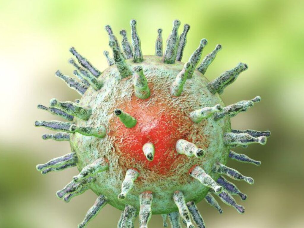 Image 9 5 25 At 12.31 Pm