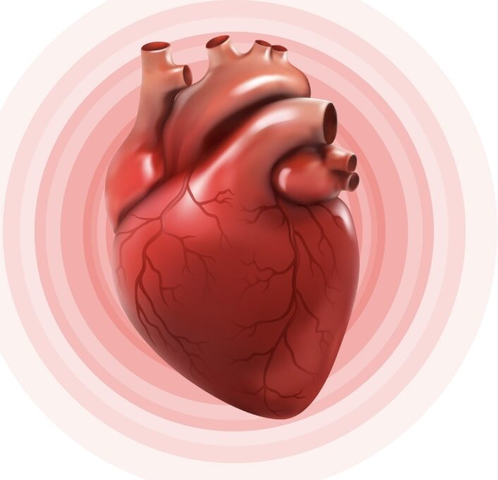 Image 9 8 25 at 11.03 pm edited[1]