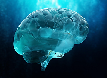 458e0d 0407d4a4599d4920a1472917bf6f54d1mv2[1]