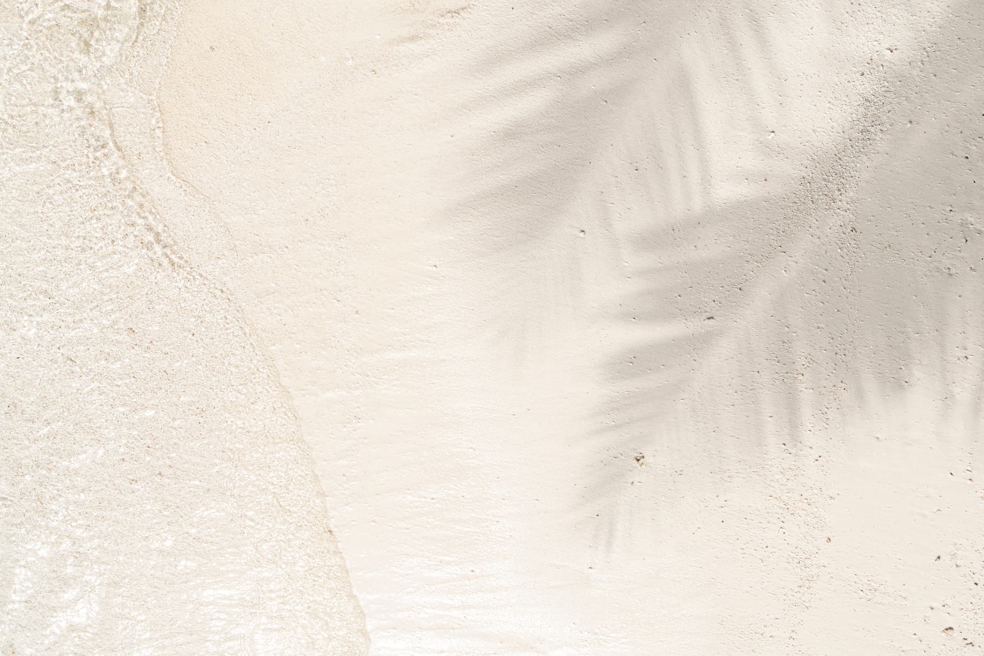 Shutterstock 2434606625 (1)