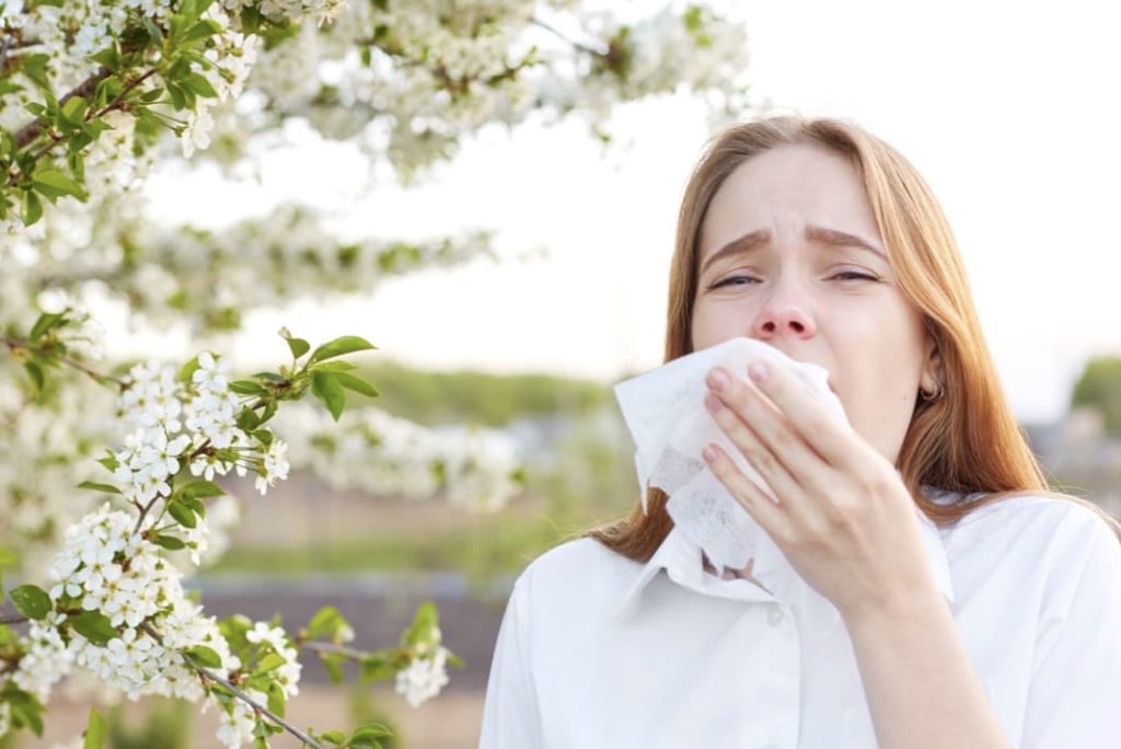 1772579849_Image-4-10-25-at-11.30-AM-1