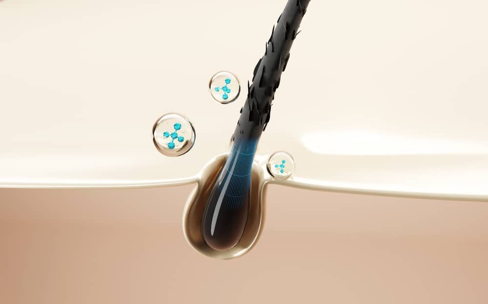 High End,3d,render,of,a,hair,follicle,infused,with,active