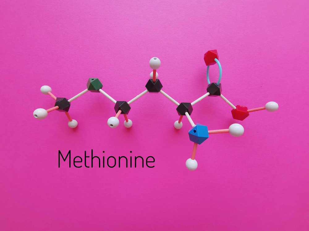 Molecular,structure,model,of,methionine,molecule.,methionine,(met,or,m)