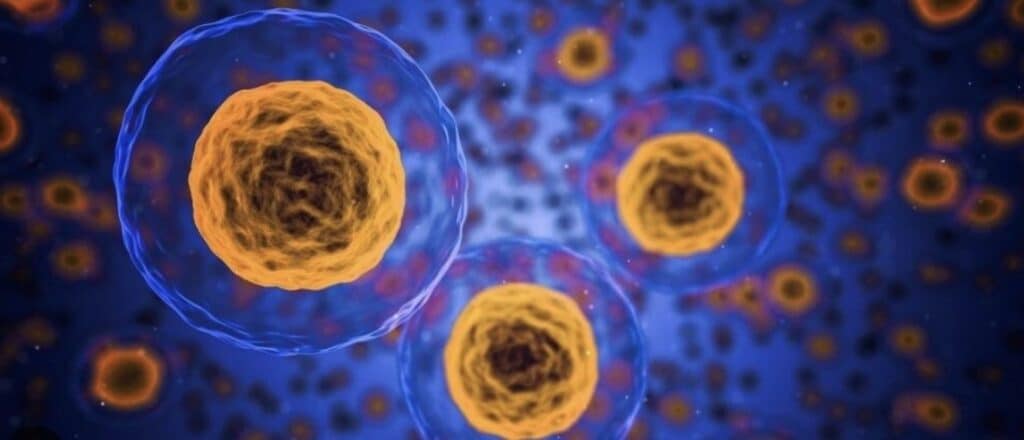 Image 7 7 25 At 6.55 Pm