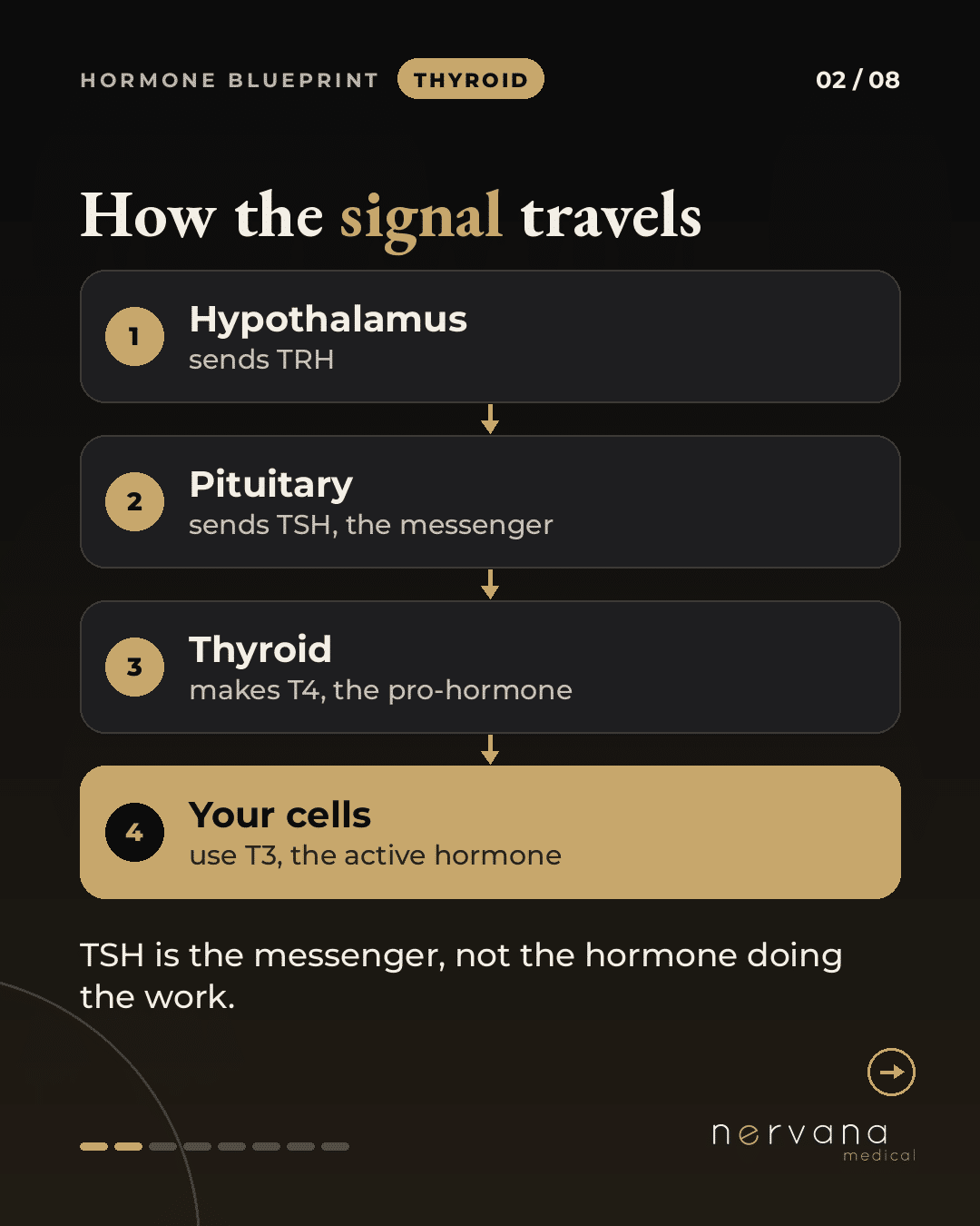 Diagram of how the thyroid signal travels from hypothalamus to pituitary to thyroid to cells, explaining what thyroid labs measure
